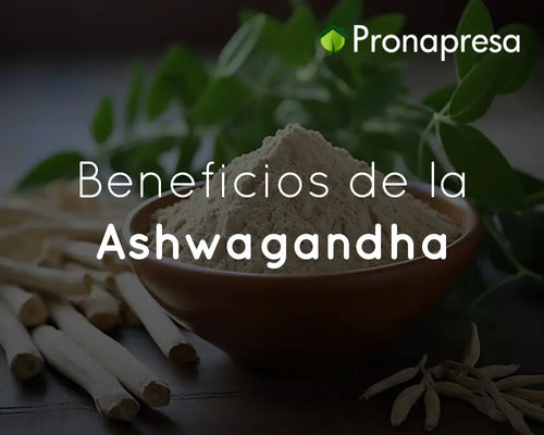 Beneficios de la Ashwagandha