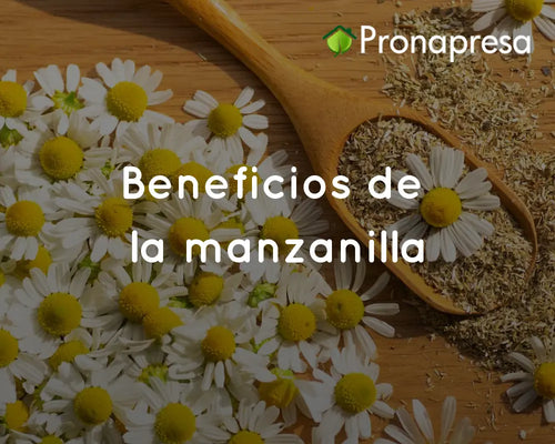Beneficios de la manzanilla