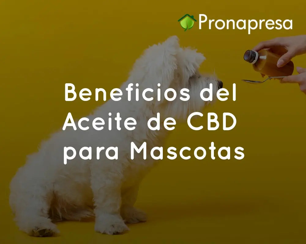 Beneficios del Aceite de CBD para Mascotas