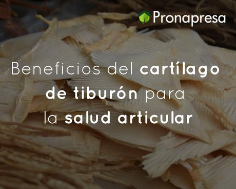 Beneficios del cartílago de tiburón para la salud articular