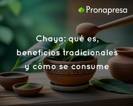 Chaya: qué es, beneficios tradicionales y cómo se consume