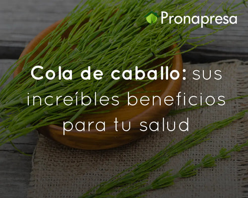 Cola de caballo: sus increíbles beneficios para tu salud