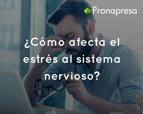 ¿Cómo afecta el estrés al sistema nervioso?