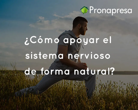 ¿Cómo apoyar el sistema nervioso de forma natural?