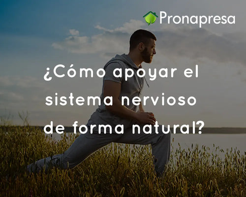 ¿Cómo apoyar el sistema nervioso de forma natural?