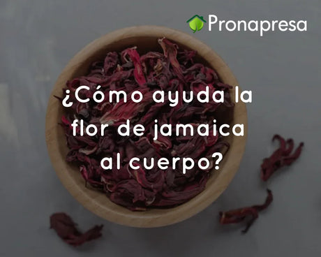 ¿Cómo ayuda la flor de jamaica al cuerpo?