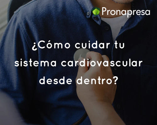 ¿Cómo cuidar tu sistema cardiovascular desde dentro?