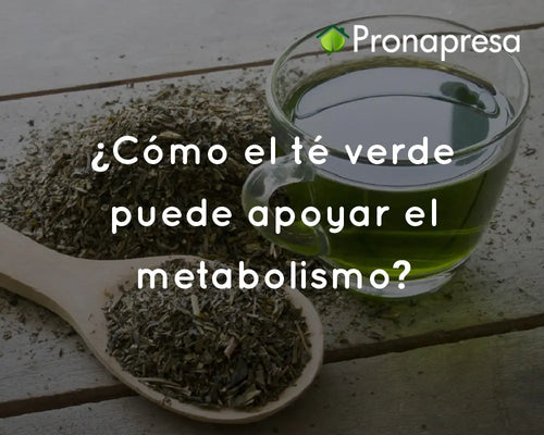 ¿Cómo el té verde puede apoyar el metabolismo?