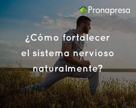 ¿Cómo fortalecer el sistema nervioso naturalmente?