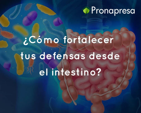 ¿Cómo fortalecer tus defensas desde el intestino?