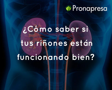 ¿Cómo saber si tus riñones están funcionando bien?