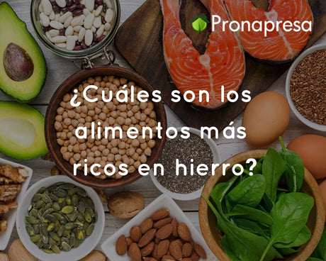 ¿Cuáles son los alimentos más ricos en hierro?