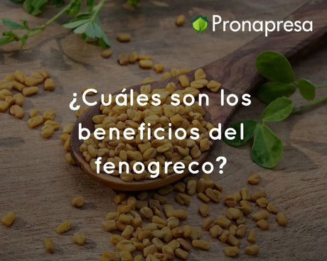 ¿Cuáles son los beneficios del fenogreco?