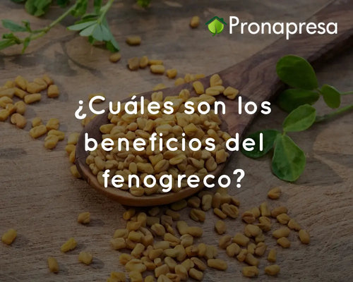 ¿Cuáles son los beneficios del fenogreco?