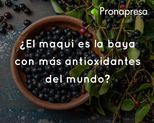 ¿El maqui es la baya con más antioxidantes del mundo?