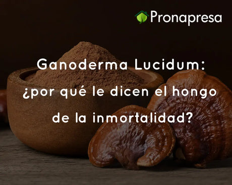 Ganoderma Lucidum: ¿por qué le dicen el hongo de la inmortalidad?