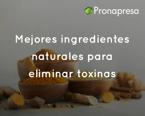 Mejores ingredientes naturales para eliminar toxinas