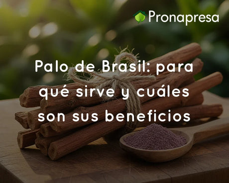 Palo de Brasil: para qué sirve y cuáles son sus beneficios