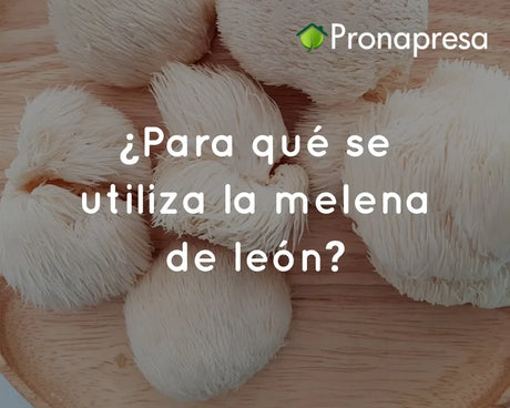 ¿Para qué se utiliza la melena de león?