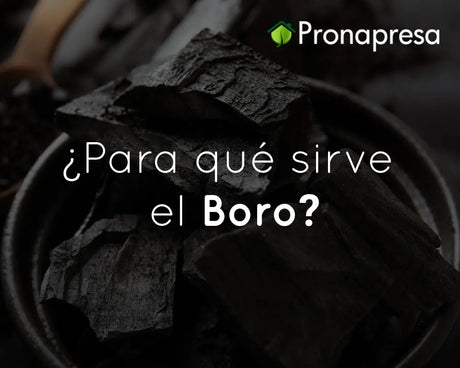 ¿Para qué sirve el Boro?