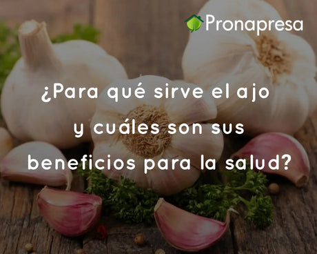 ¿Para qué sirve el ajo y cuáles son sus beneficios para la salud?