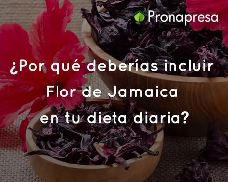 ¿Por qué deberías incluir Flor de Jamaica en tu dieta diaria?