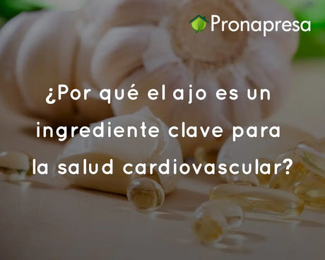 ¿Por qué el ajo es un ingrediente clave para la salud cardiovascular?