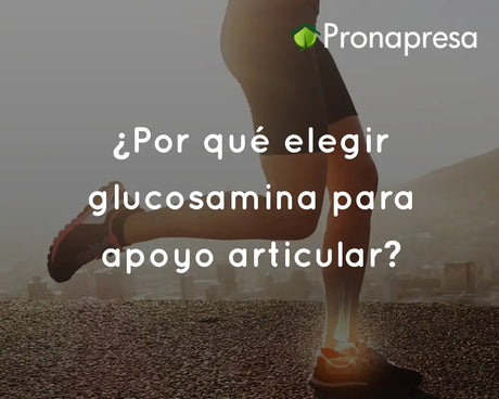 ¿Por qué elegir glucosamina para apoyo articular?