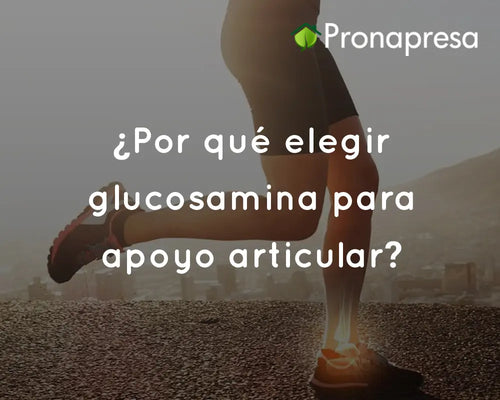 ¿Por qué elegir glucosamina para apoyo articular?