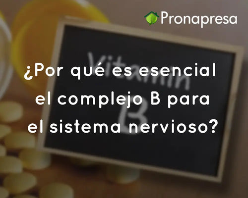 ¿Por qué es esencial el complejo B para el sistema nervioso?