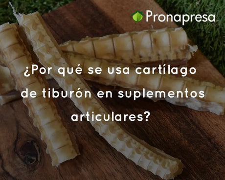 ¿Por qué se usa cartílago de tiburón en suplementos articulares?
