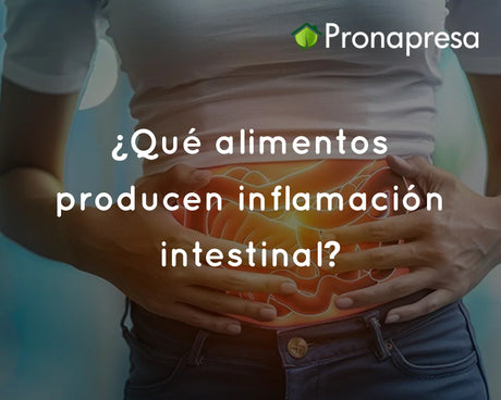 ¿Qué alimentos producen inflamación intestinal?