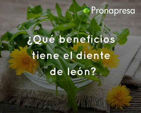 ¿Qué beneficios tiene el diente de león?