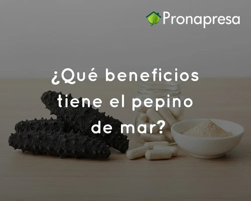 ¿Qué beneficios tiene el pepino de mar?