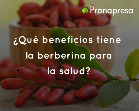 ¿Qué beneficios tiene la berberina para la salud?
