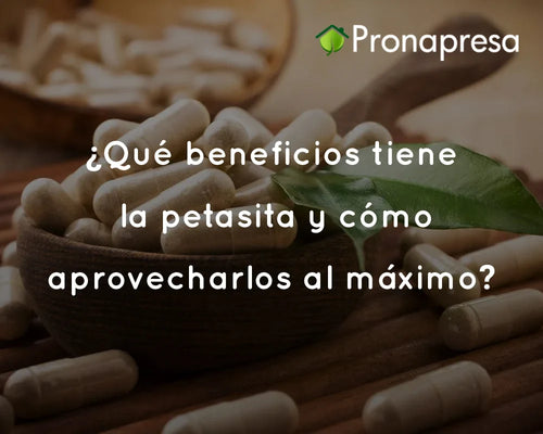 ¿Qué beneficios tiene la petasita y cómo aprovecharlos al máximo?