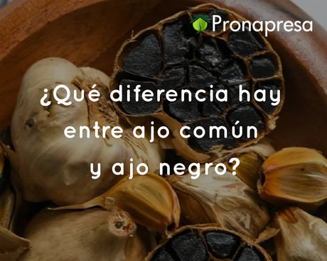 ¿Qué diferencia hay entre ajo común y ajo negro?