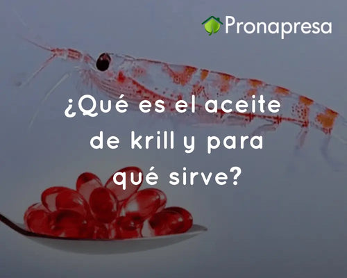 ¿Qué es el aceite de krill y para qué sirve?