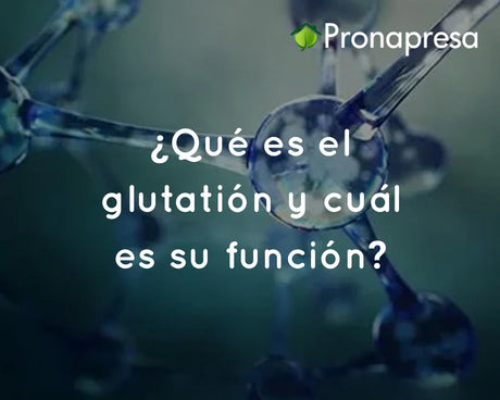 ¿Qué es el glutatión y cuál es su función?