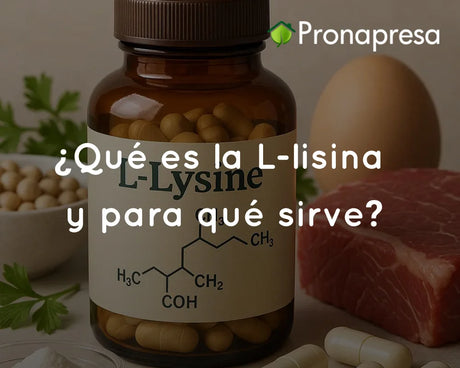 ¿Qué es la L-lisina y para qué sirve?