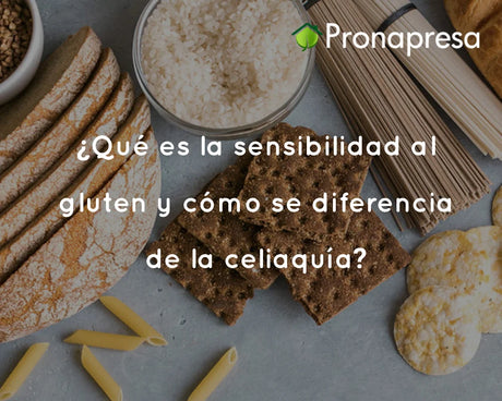 ¿Qué es la sensibilidad al gluten y cómo se diferencia de la celiaquía?