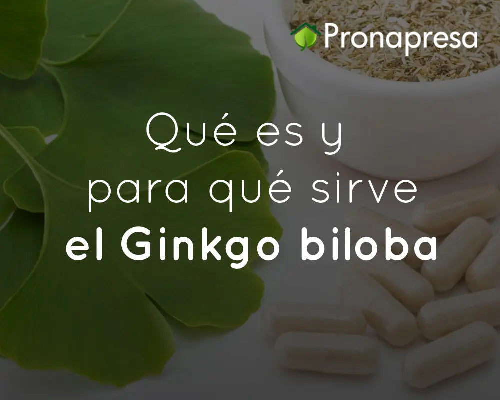 Qué Es Y Para Qué Sirve El Ginkgo Biloba Pronapresa 7118