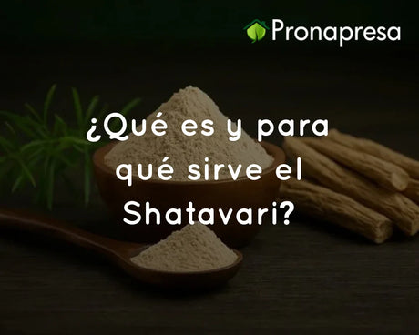 ¿Qué es y para qué sirve el Shatavari?