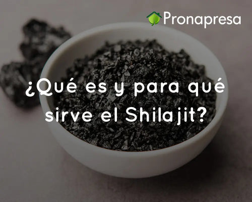 ¿Qué es y para qué sirve el Shilajit?