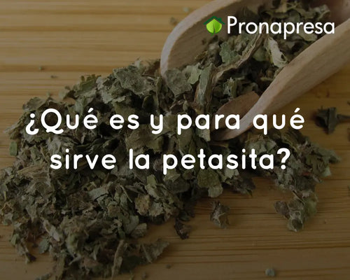 ¿Qué es y para qué sirve la petasita?