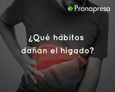 ¿Qué hábitos dañan el hígado?
