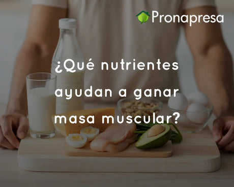 ¿Qué nutrientes ayudan a ganar masa muscular?