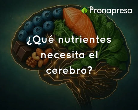 ¿Qué nutrientes necesita el cerebro?