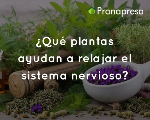 ¿Qué plantas ayudan a relajar el sistema nervioso?