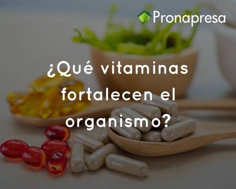 ¿Qué vitaminas fortalecen el organismo?